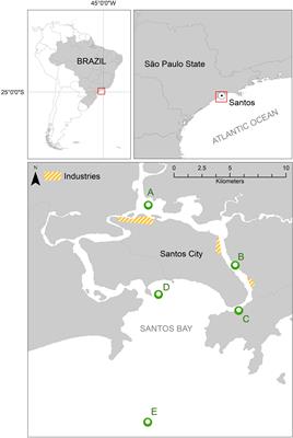 Predicting the Dispersal and Accumulation of Microplastic Pellets Within the Estuarine and Coastal Waters of South-Eastern Brazil Using Integrated Rainfall Data and Lagrangian Particle Tracking Models